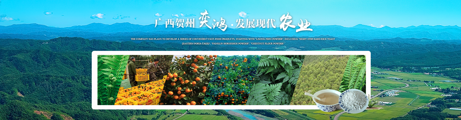 廣西賀州市奕鴻農業(yè)開(kāi)發(fā)有限責任公司
